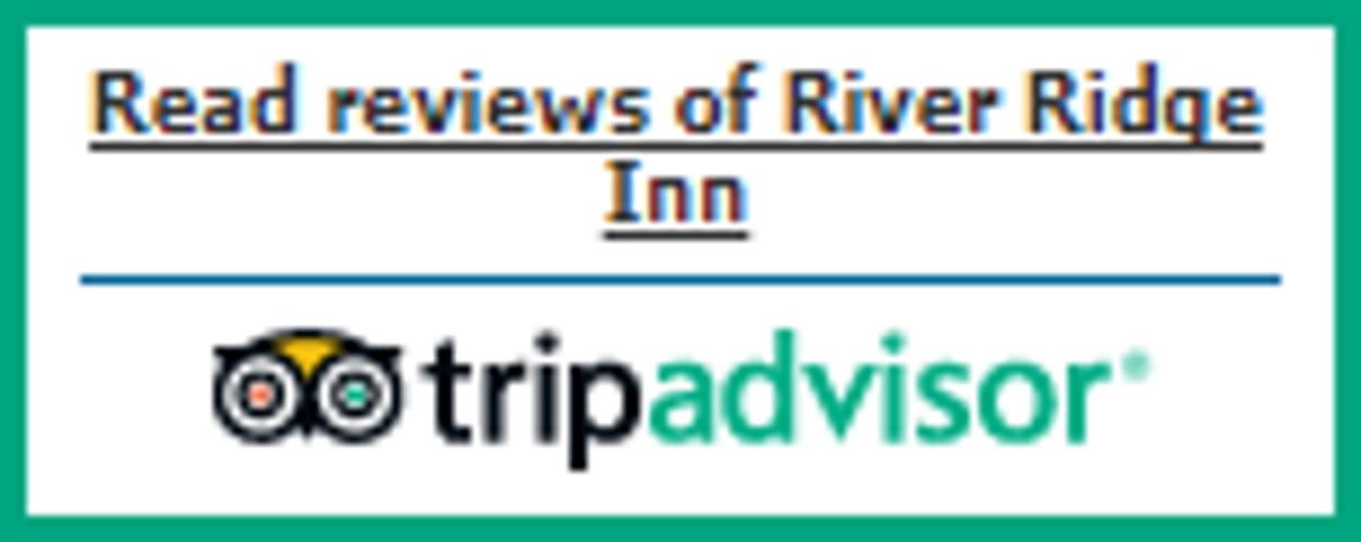 Trip Advisor